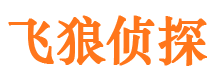 西塞山市婚外情调查